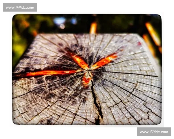 四阶魔方挑战赛全程回顾及技巧解析 助力选手突破自我极限